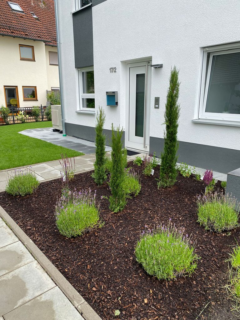 Vorgarten mit verschiedenen Pflanzen