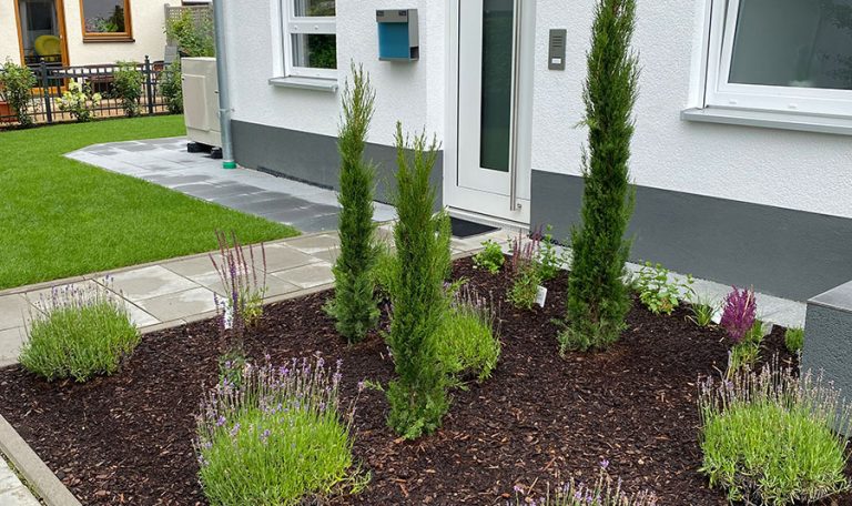 Vorgarten mit verschiedenen Pflanzen