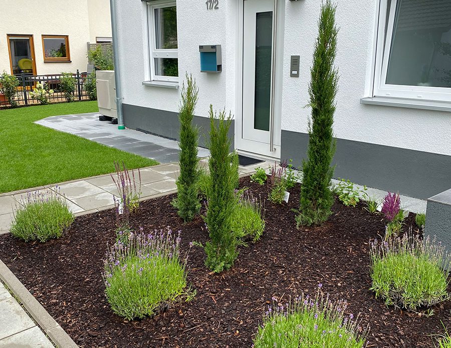 Vorgarten mit verschiedenen Pflanzen